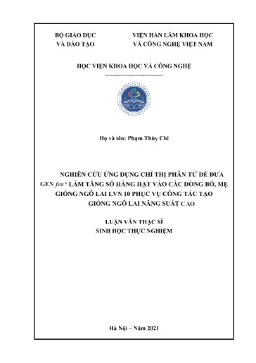 Luận văn Nghiên cứu ứng dụng chỉ thị phân tử để đưa gen Fea* làm tăng số hàng hạt vào các dòng bố, mẹ giống Ngô lai LVN 10 phục vụ công tác tạo giống Ngô lai năng suất cao