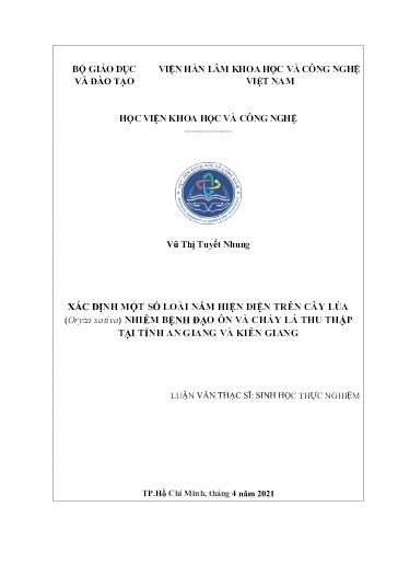 Luận văn Xác định một số loài nấm hiện diện trên cây lúa (Oryza Ssativa) nhiễm bệnh đạo ôn và cháy lá thu thập tại tỉnh An Giang và Kiên Giang
